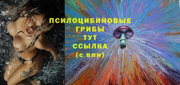 MESCALINE Белокуриха